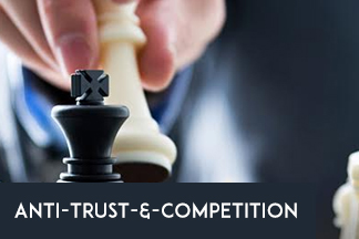 Anti-Trust-&-Competition22